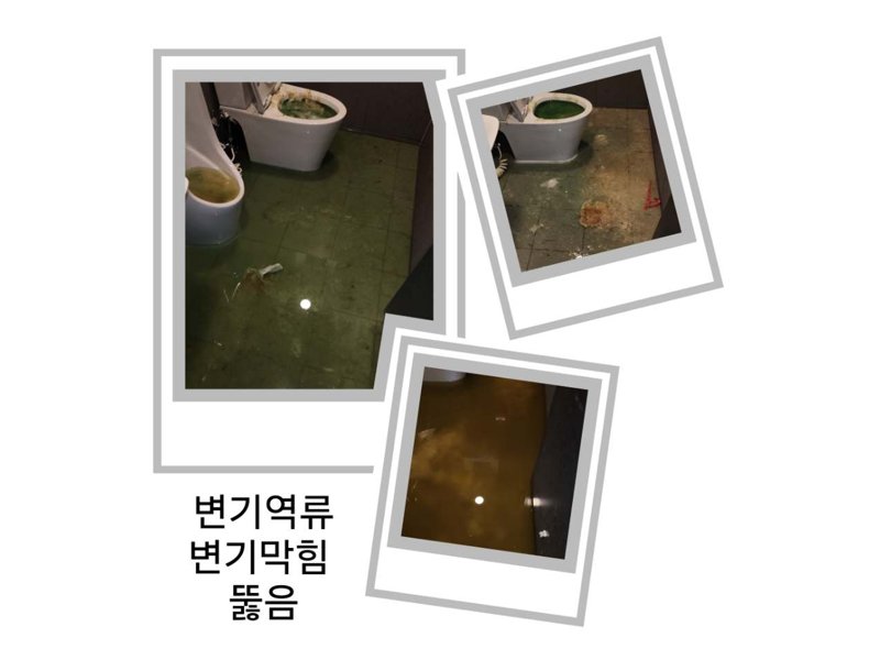 파주읍 정화조막힘 작업 현장